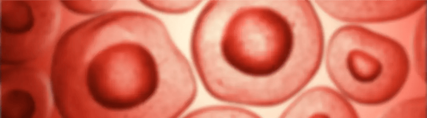 Les biofluides Contexte